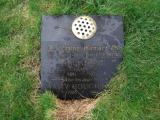 image of grave number 622050